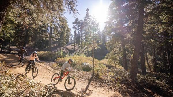 Summit Estates House | Summit Ski and Bike Trails #2574
