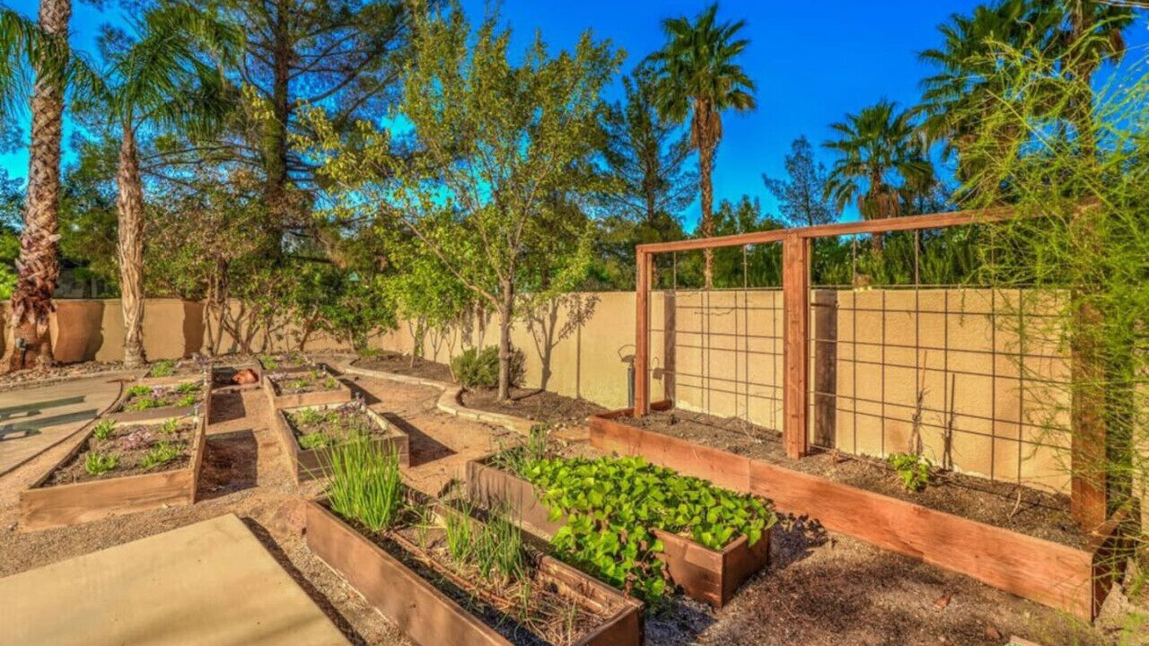 Photo of Outdoor in Green Valley