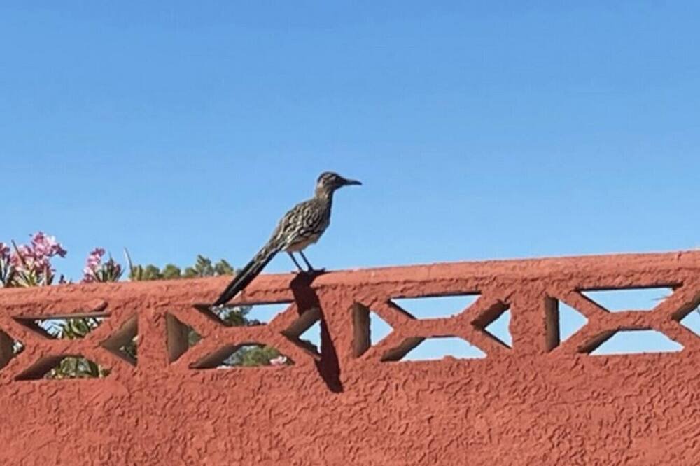 Photo of Others in Sunrise Manor