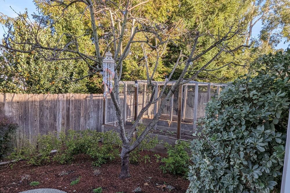 Photo of Others in Yountville