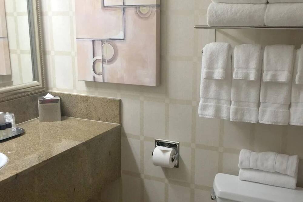 Photo of Bathroom in Downtown Las Vegas