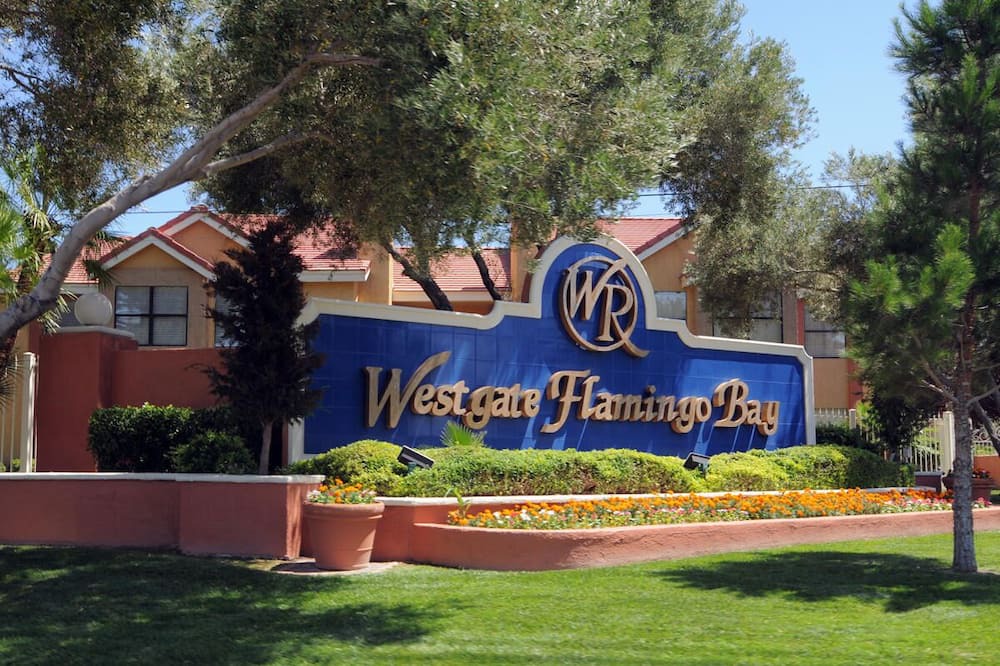 Photo of Outdoor in Las Vegas