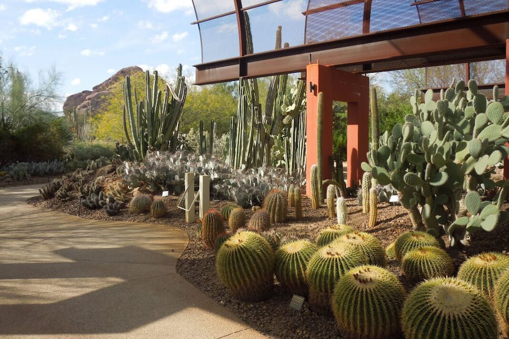 Photo of Outdoor in South Scottsdale