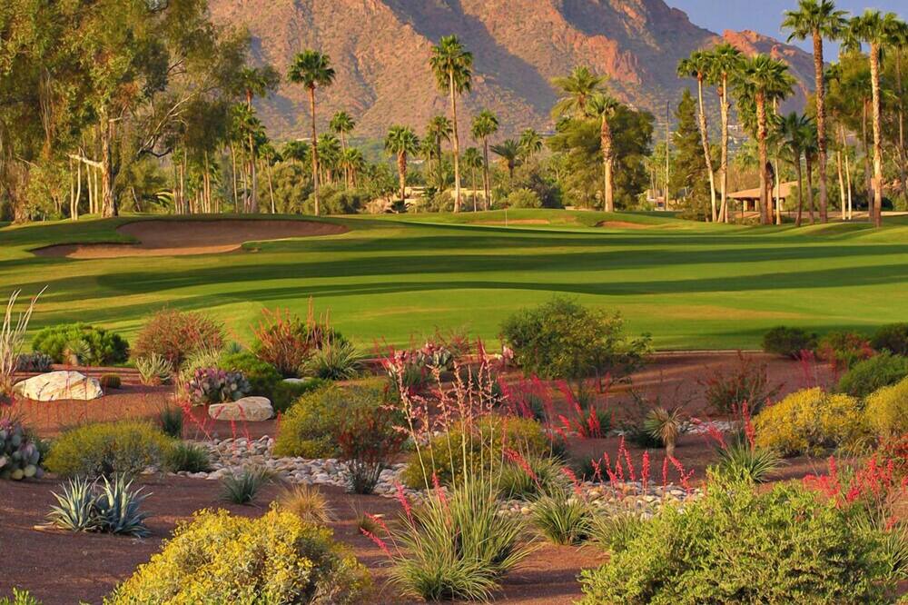 Photo of Others in South Scottsdale