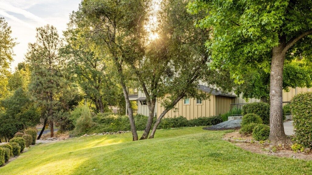 Photo of Outdoor in Angels Camp