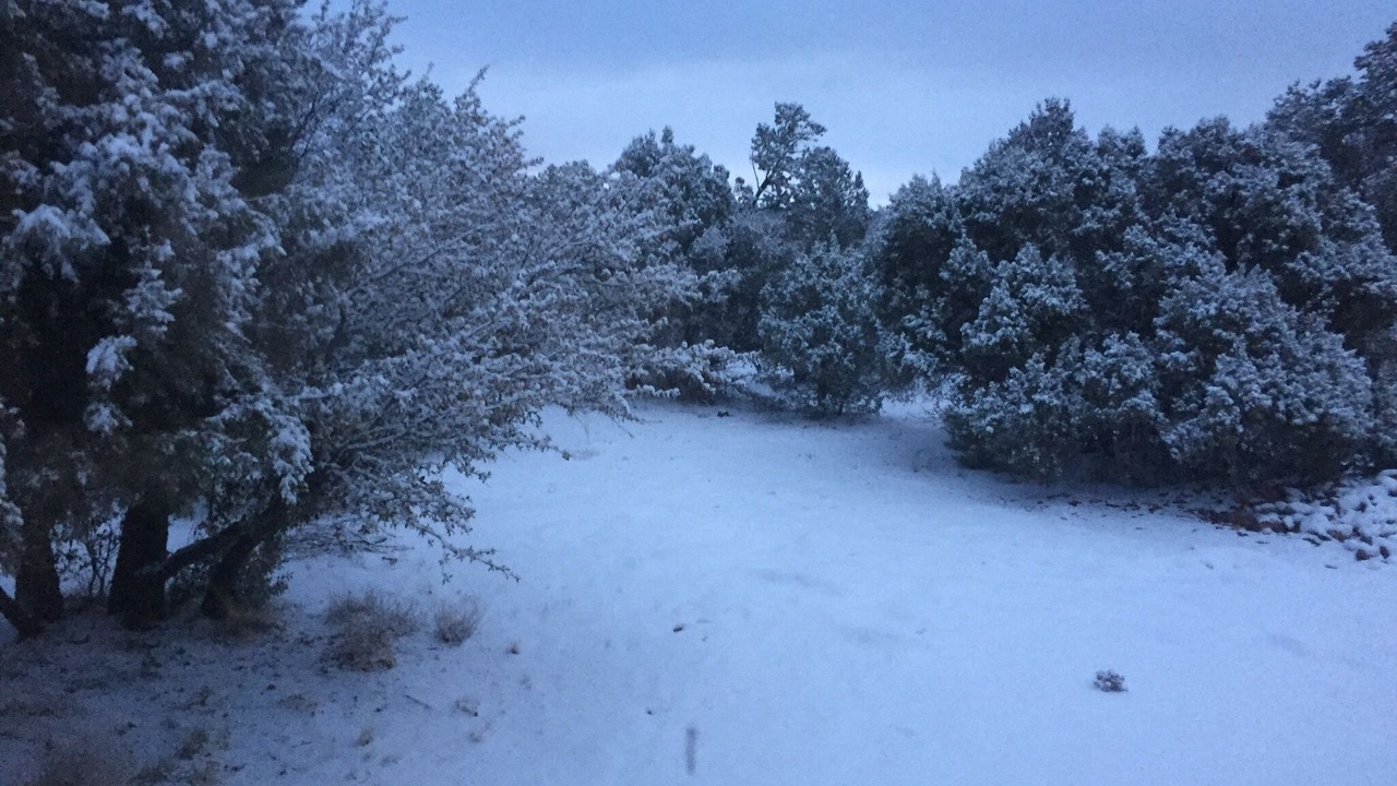 Photo of Others in Linden
