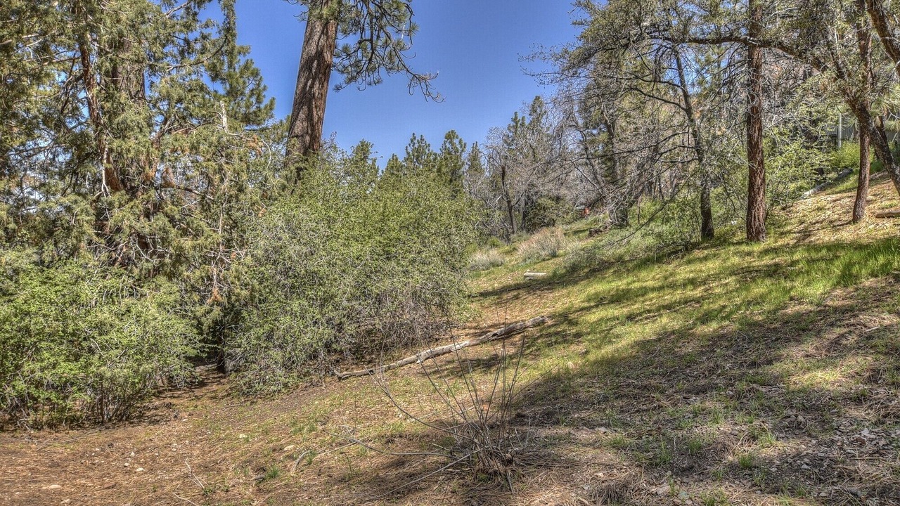 Photo of Outdoor in Upper Moonridge