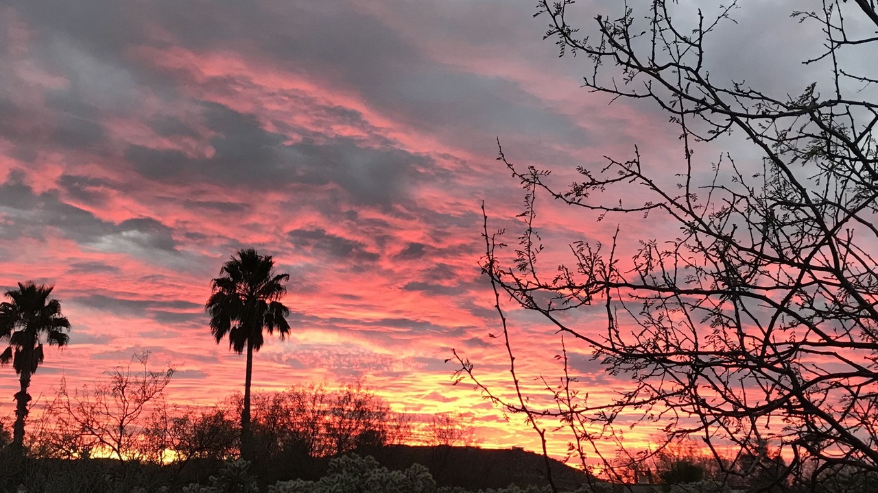 Photo of Others in Tanque Verde