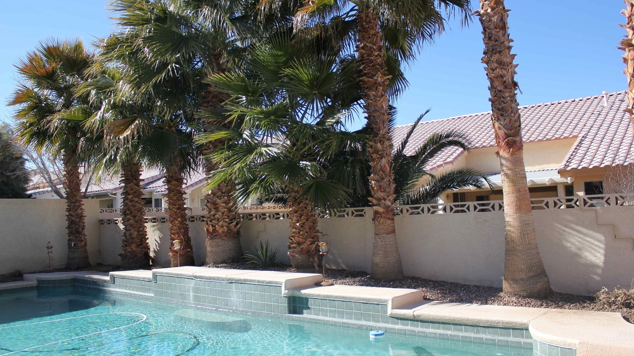 Photo of Outdoor in Paradise