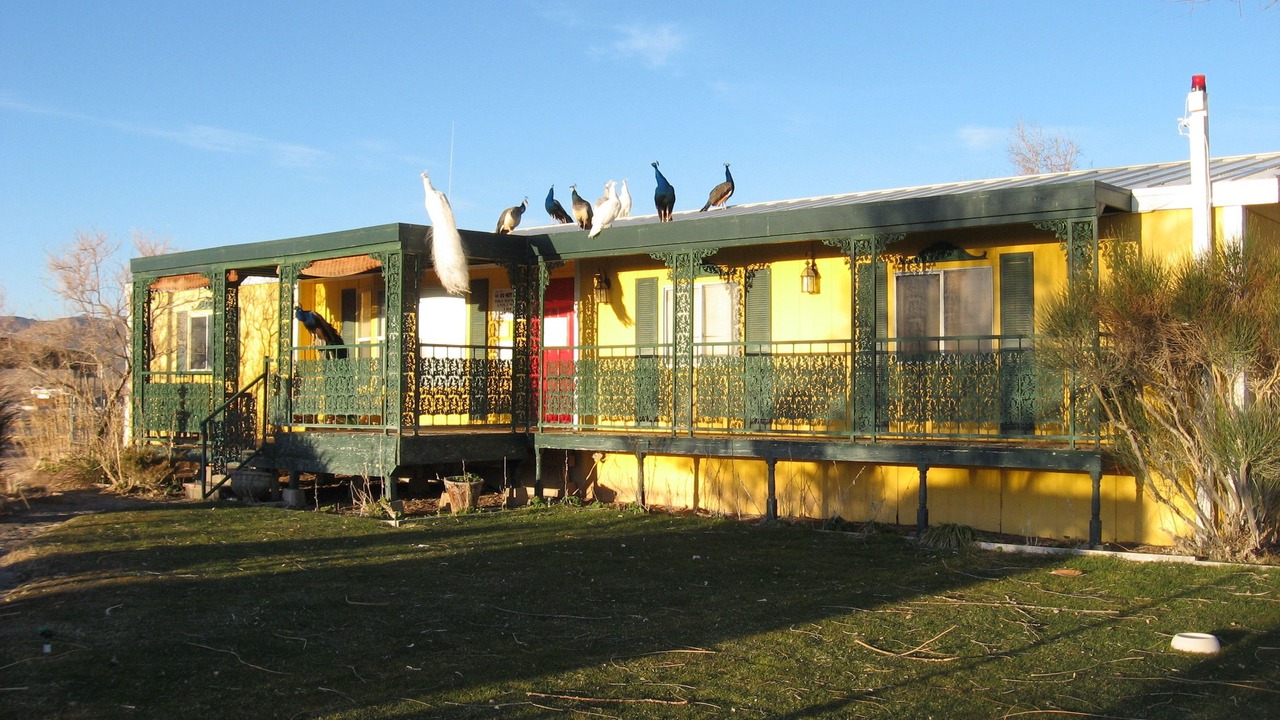 Photo of Outdoor in Beatty