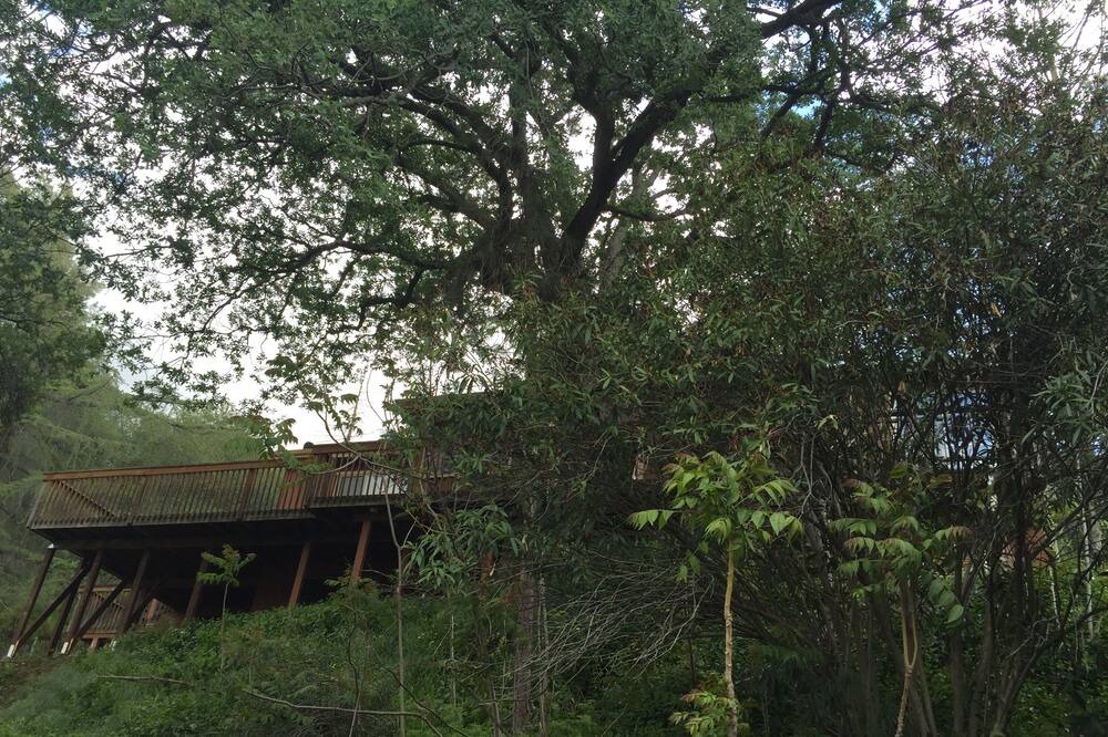 Photo of Outdoor in Three Rivers