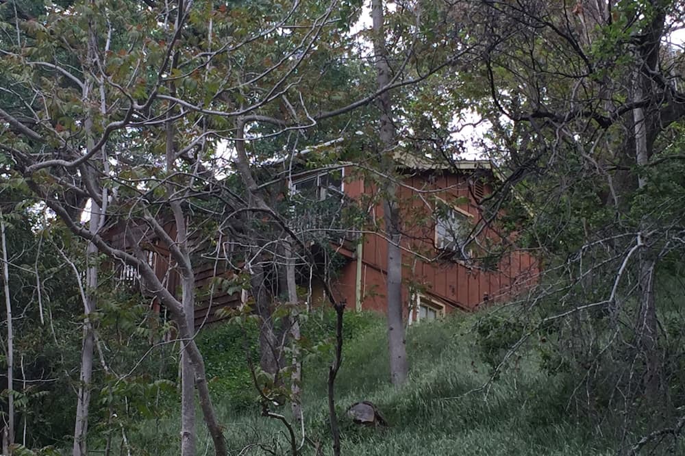 Photo of Outdoor in Three Rivers