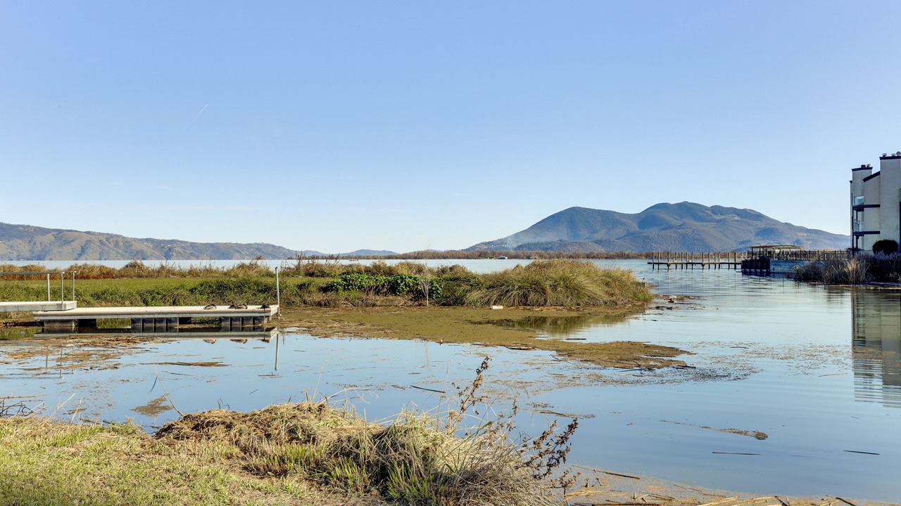 Photo of Others in Lakeport