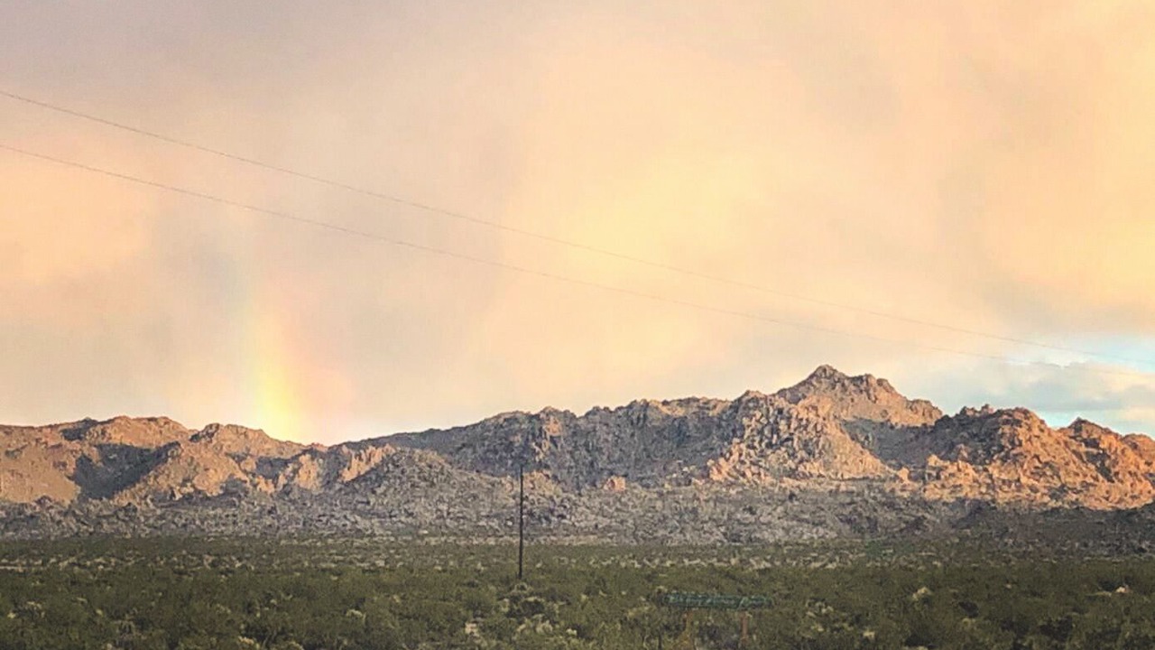 Photo of Others in Panorama Heights