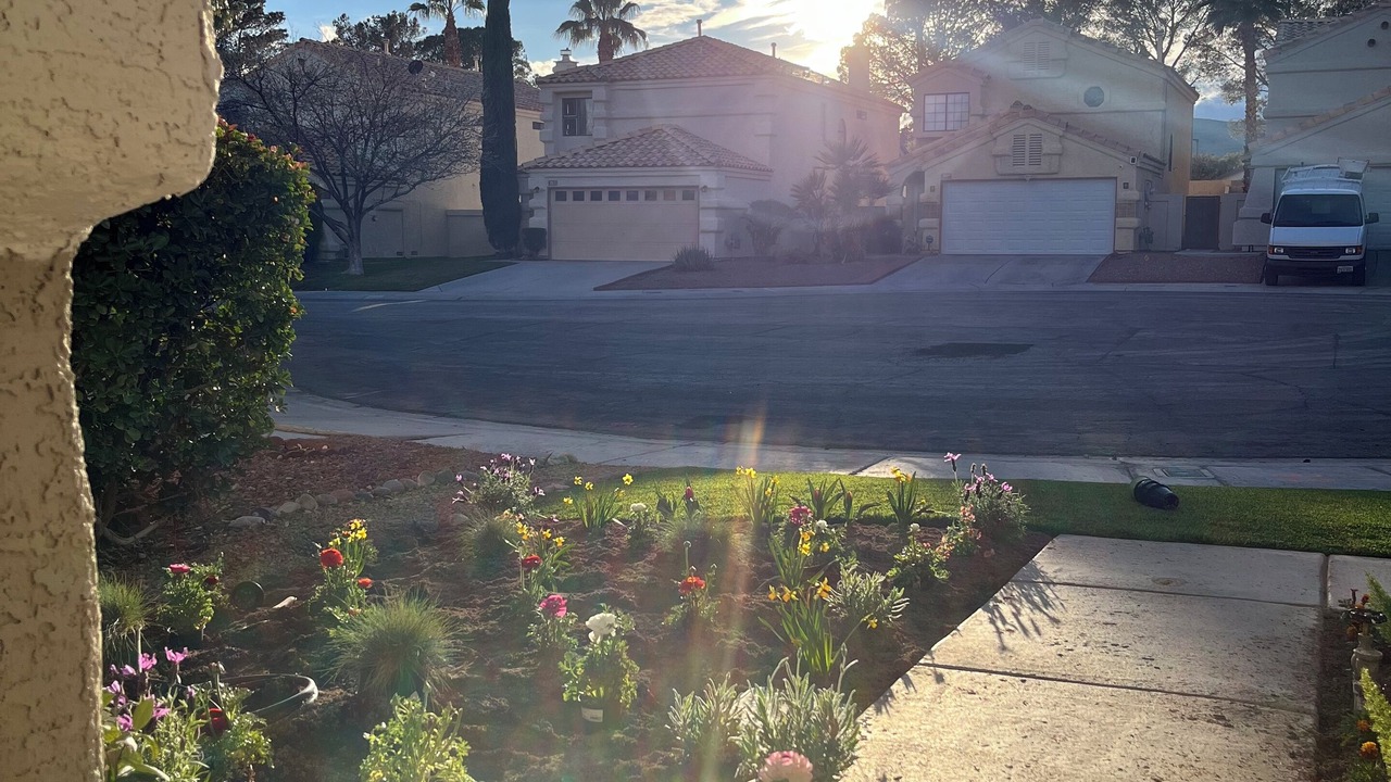 Photo of Outdoor in Summerlin South