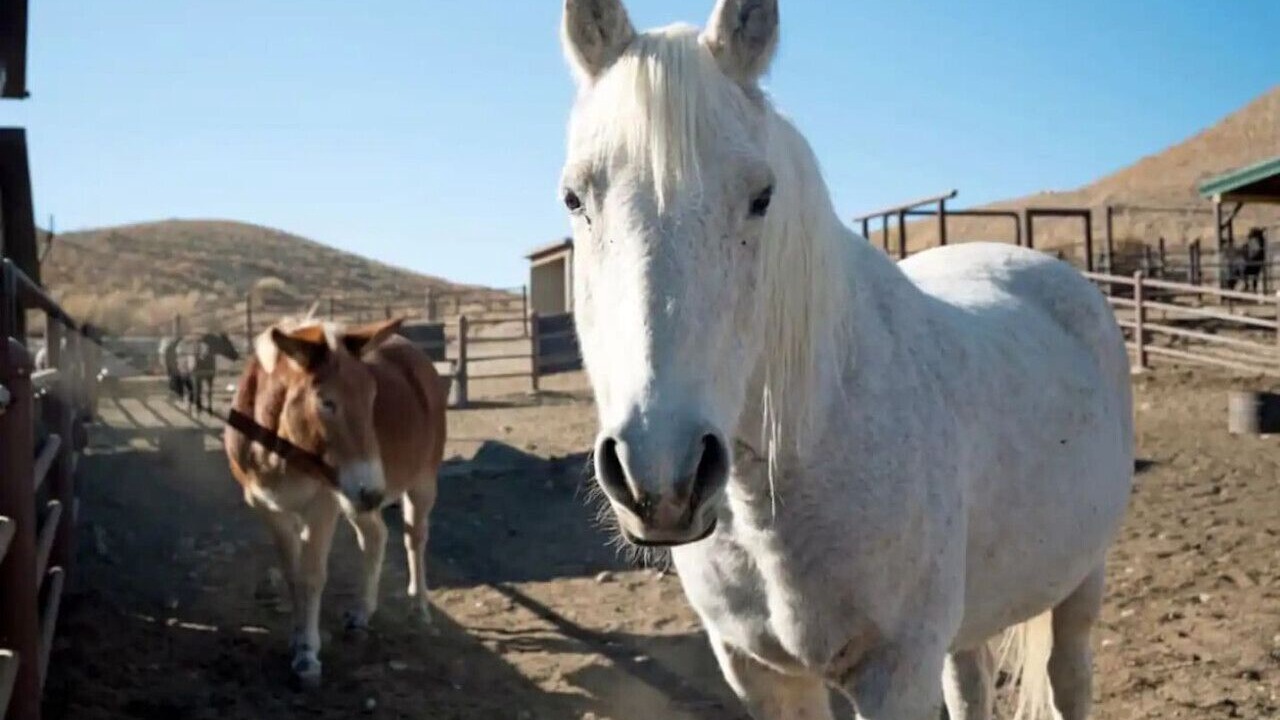 Photo of Others in Wellington
