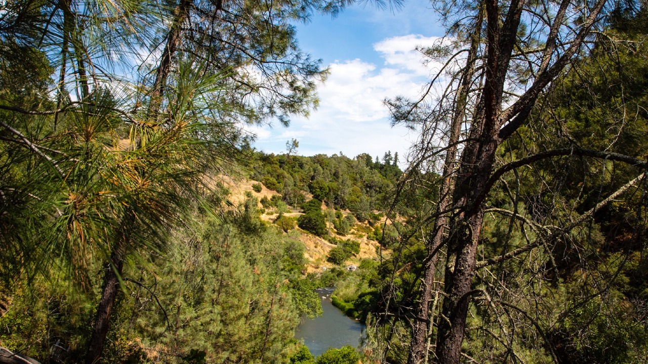 Photo of Outdoor in Cloverdale