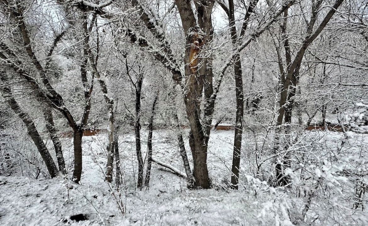 Photo of Outdoor in Payson