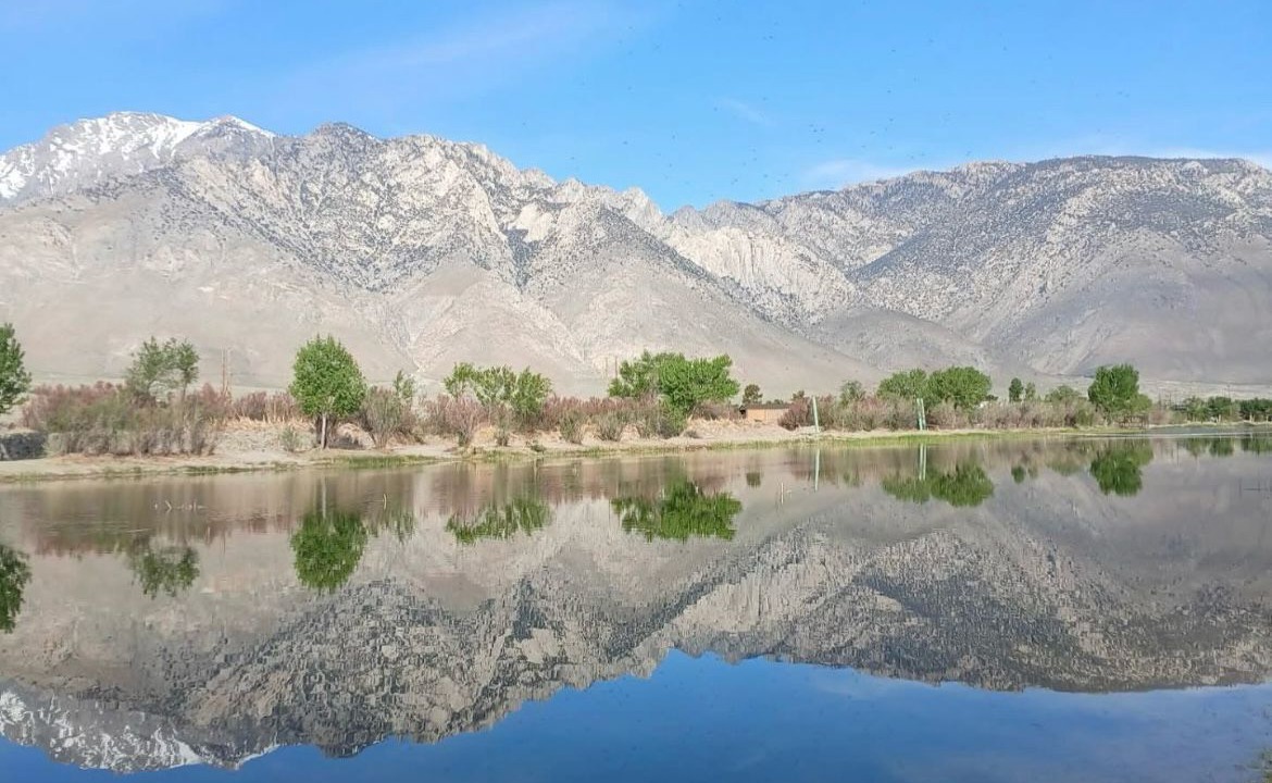 Photo of Others in Olancha