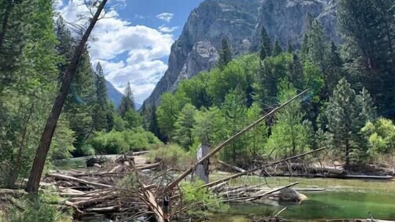 Photo of Others in Squaw Valley
