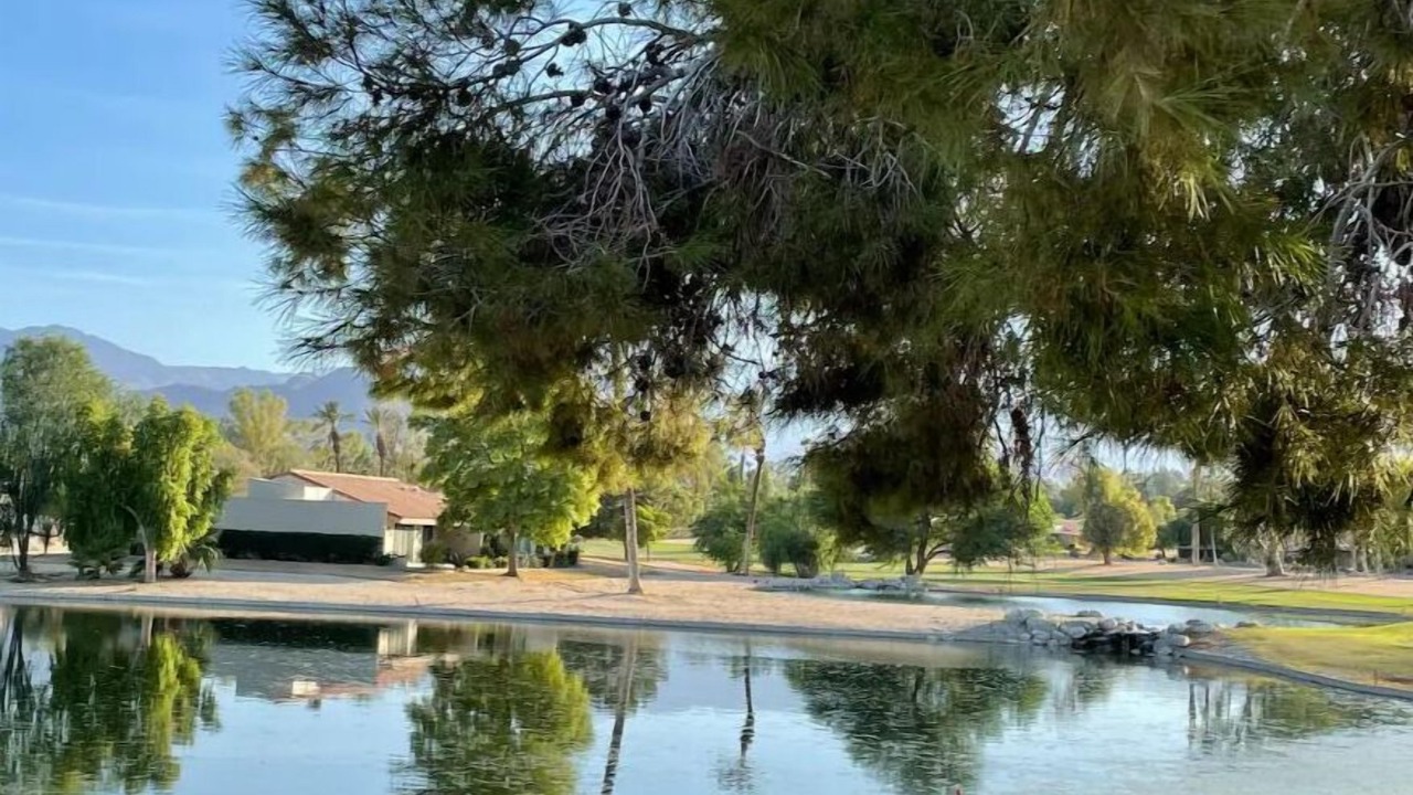 Photo of Others in Palm Desert
