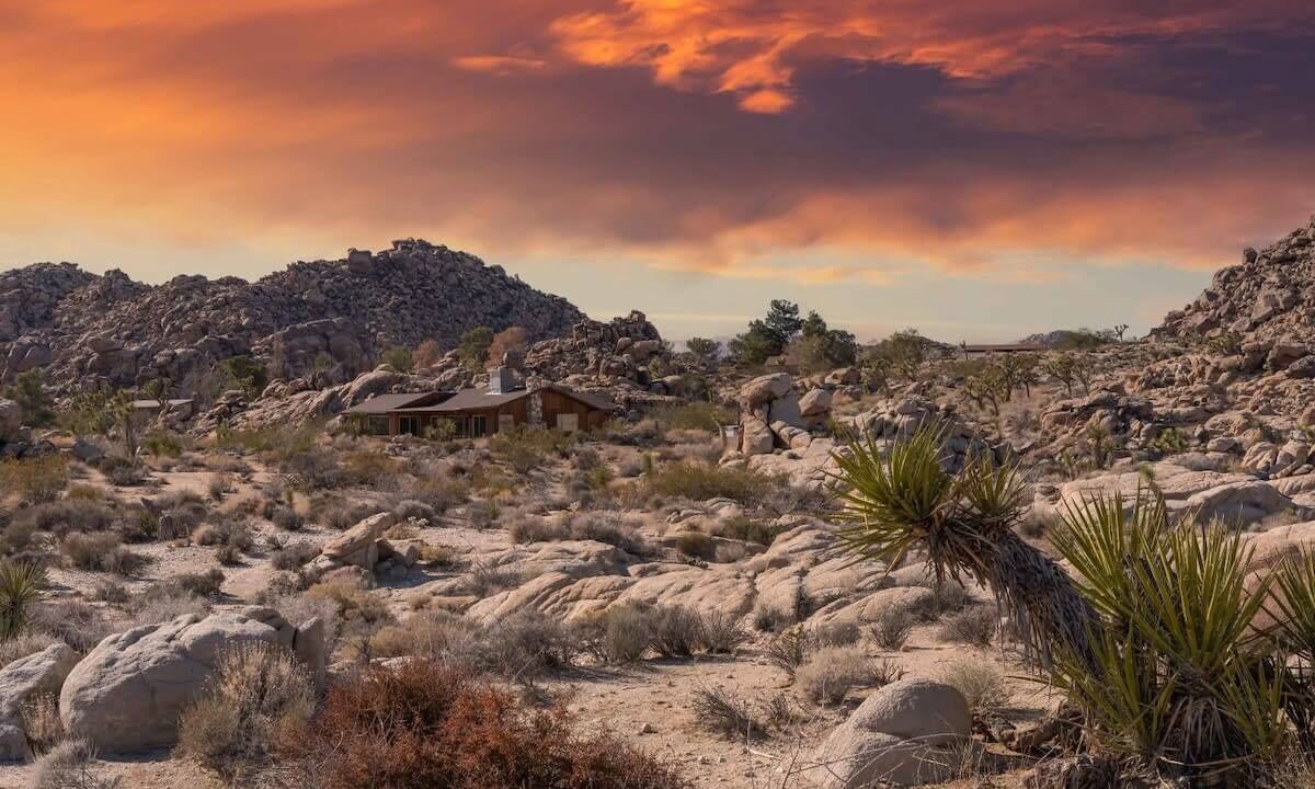 Photo of Others in Joshua Tree