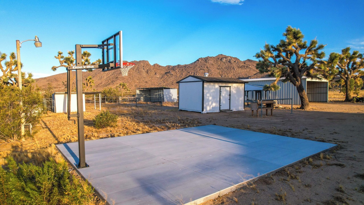 Photo of Others in Joshua Tree