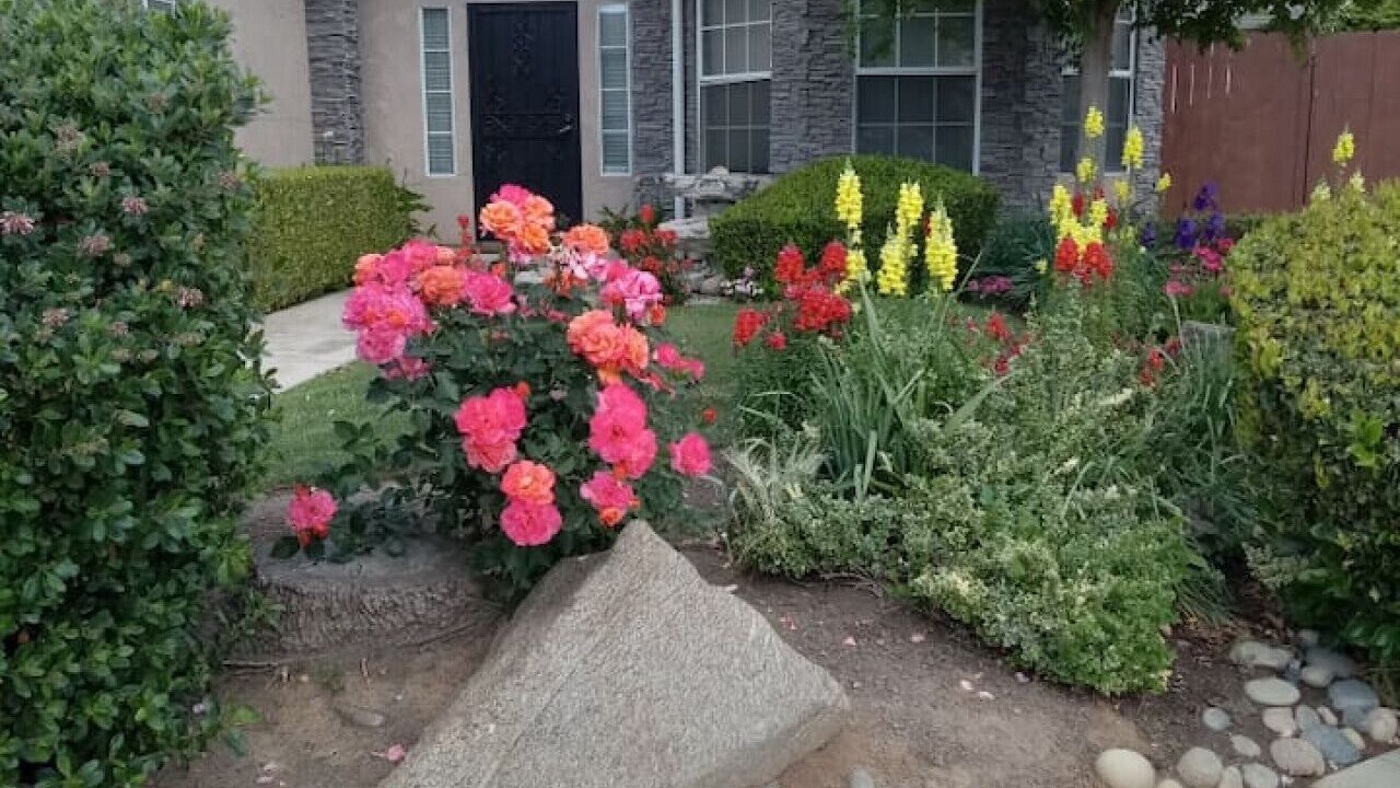 Photo of Outdoor in Raisin
