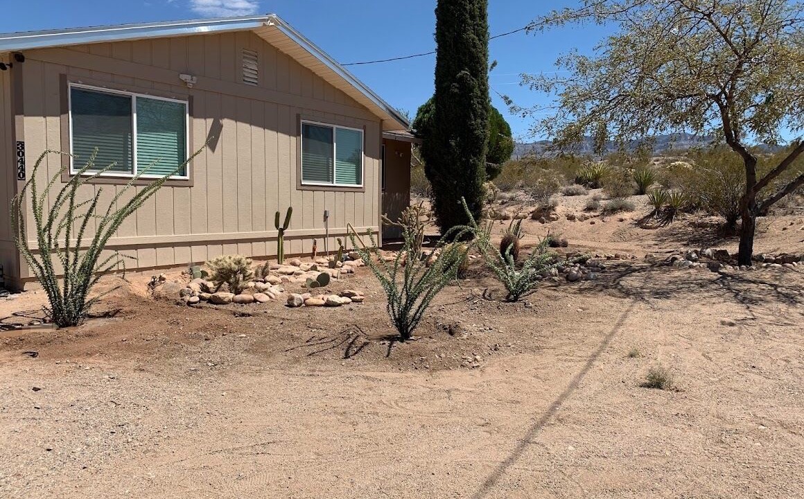 Photo of Outdoor in Meadview