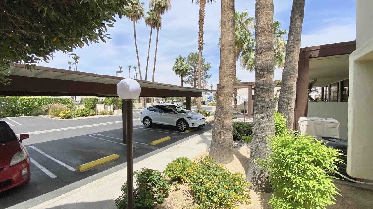 Photo of Others in Twin Palms