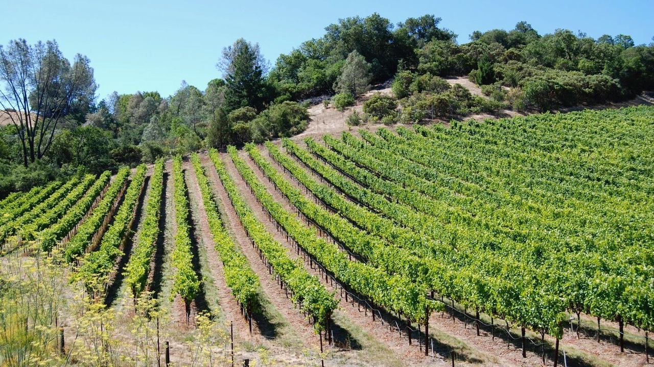 Photo of Outdoor in Cloverdale