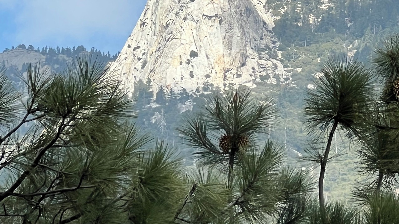 Photo of Others in Idyllwild