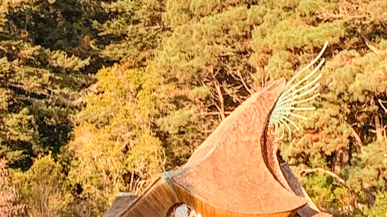 Photo of Outdoor in Sea Ranch