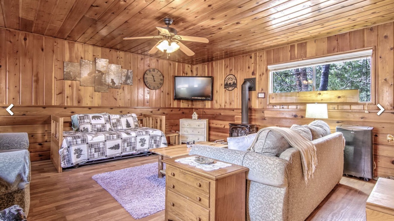 Photo of Livingroom in Idyllwild