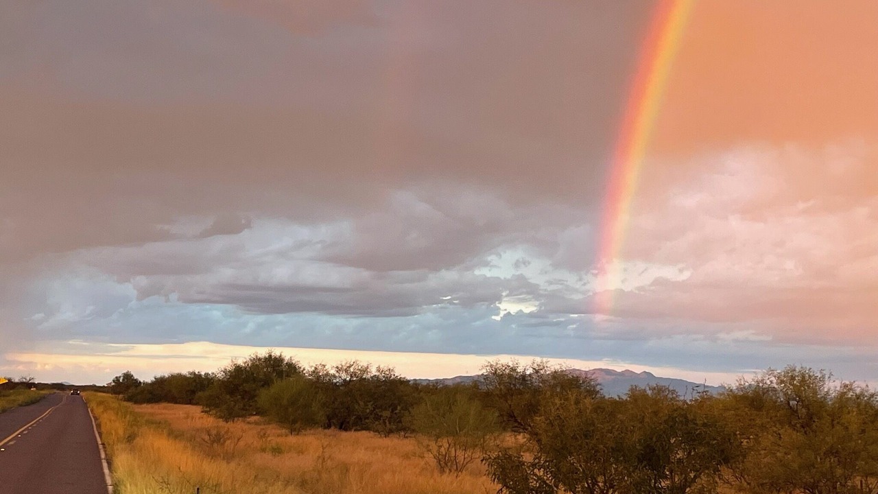 Photo of Others in Arivaca