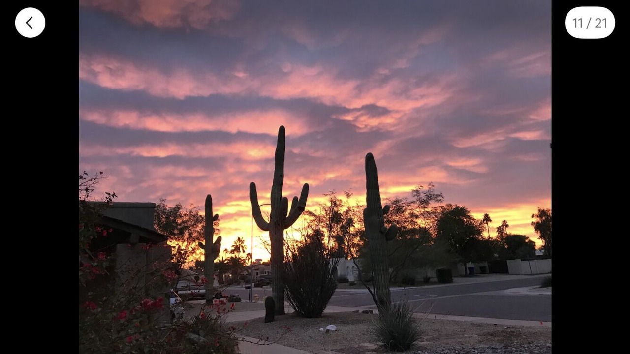 Photo of Others in Cactus Glen