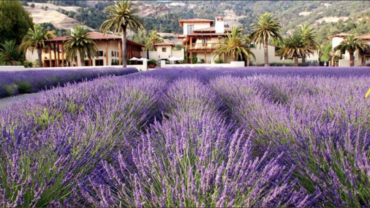 Photo of Outdoor in Nice