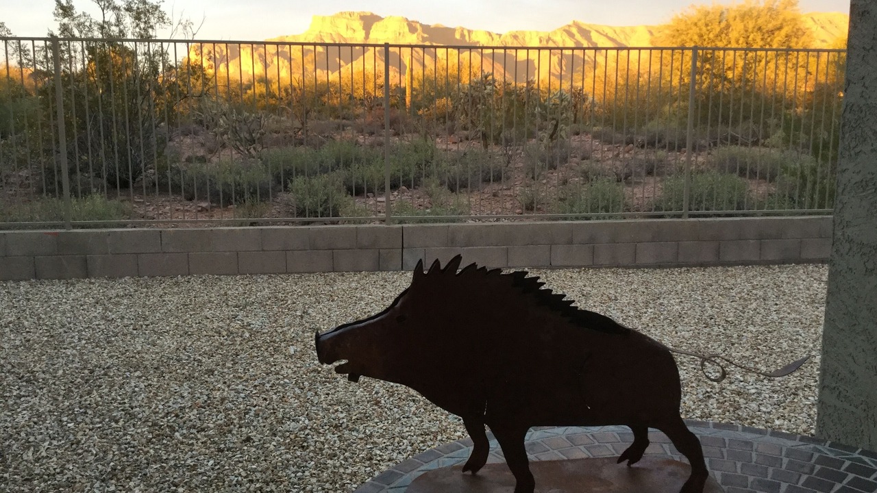 Photo of Outdoor in Gold Canyon