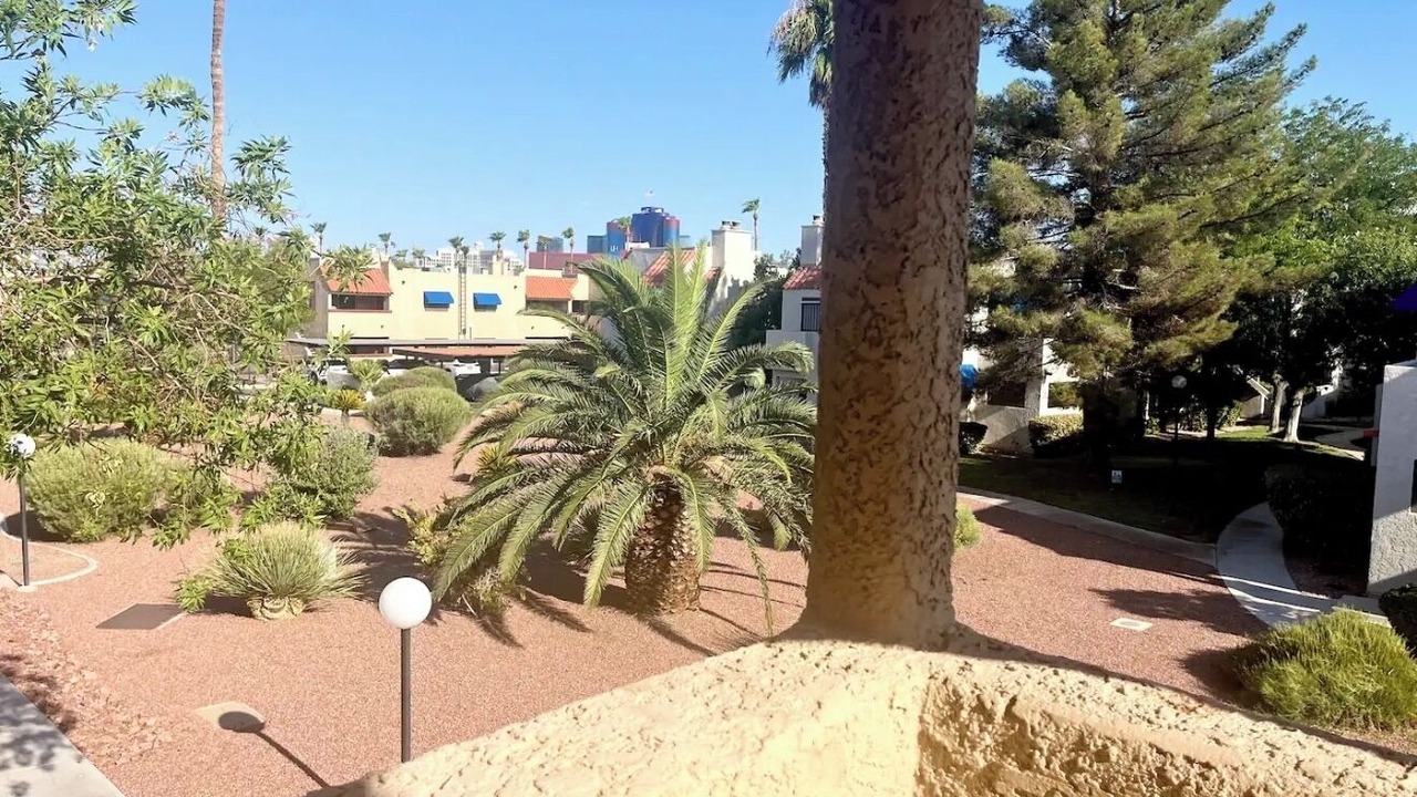 Photo of Outdoor in Chinatown