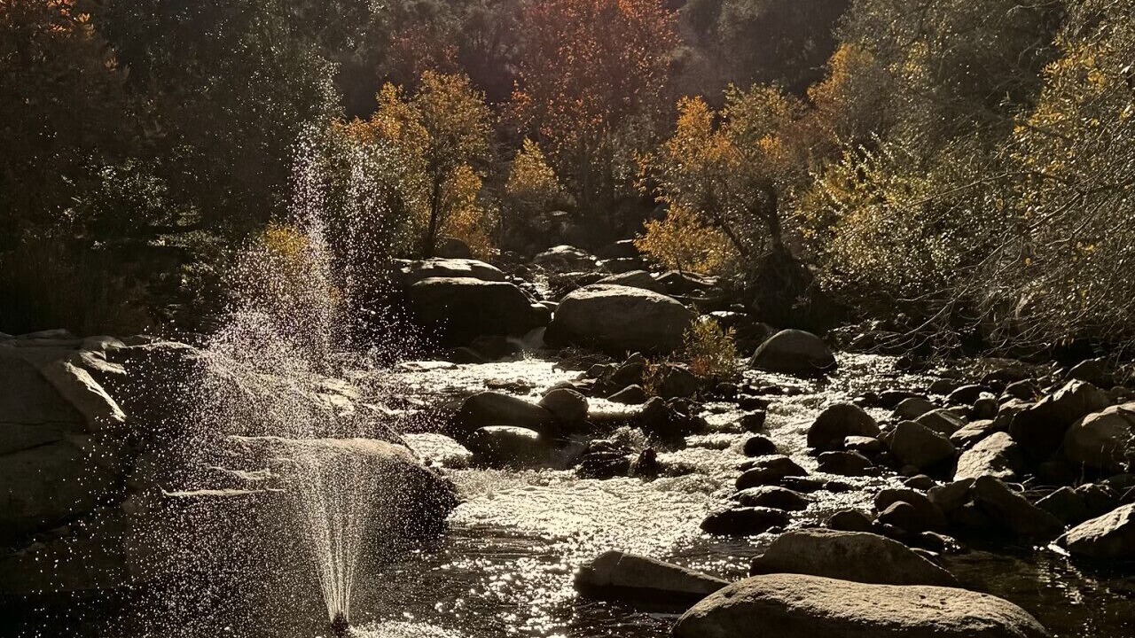 Photo of Others in Three Rivers