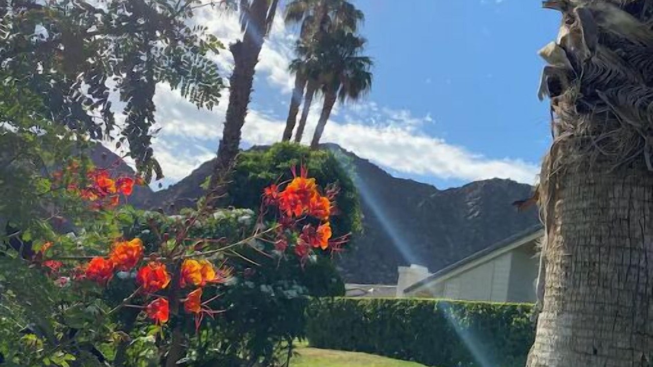 Photo of Outdoor in Indian Wells
