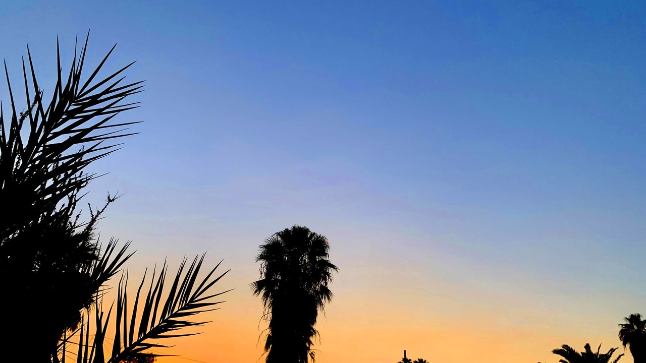 Photo of Others in Twentynine Palms