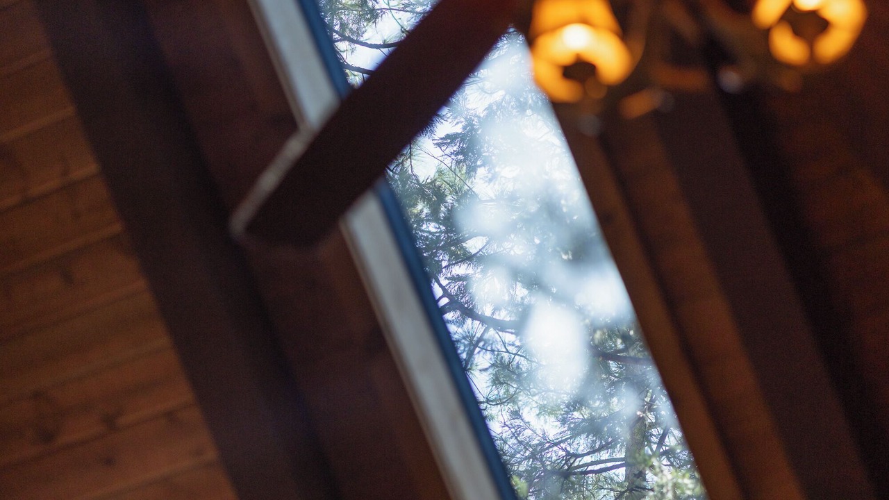Photo of Others in Idyllwild
