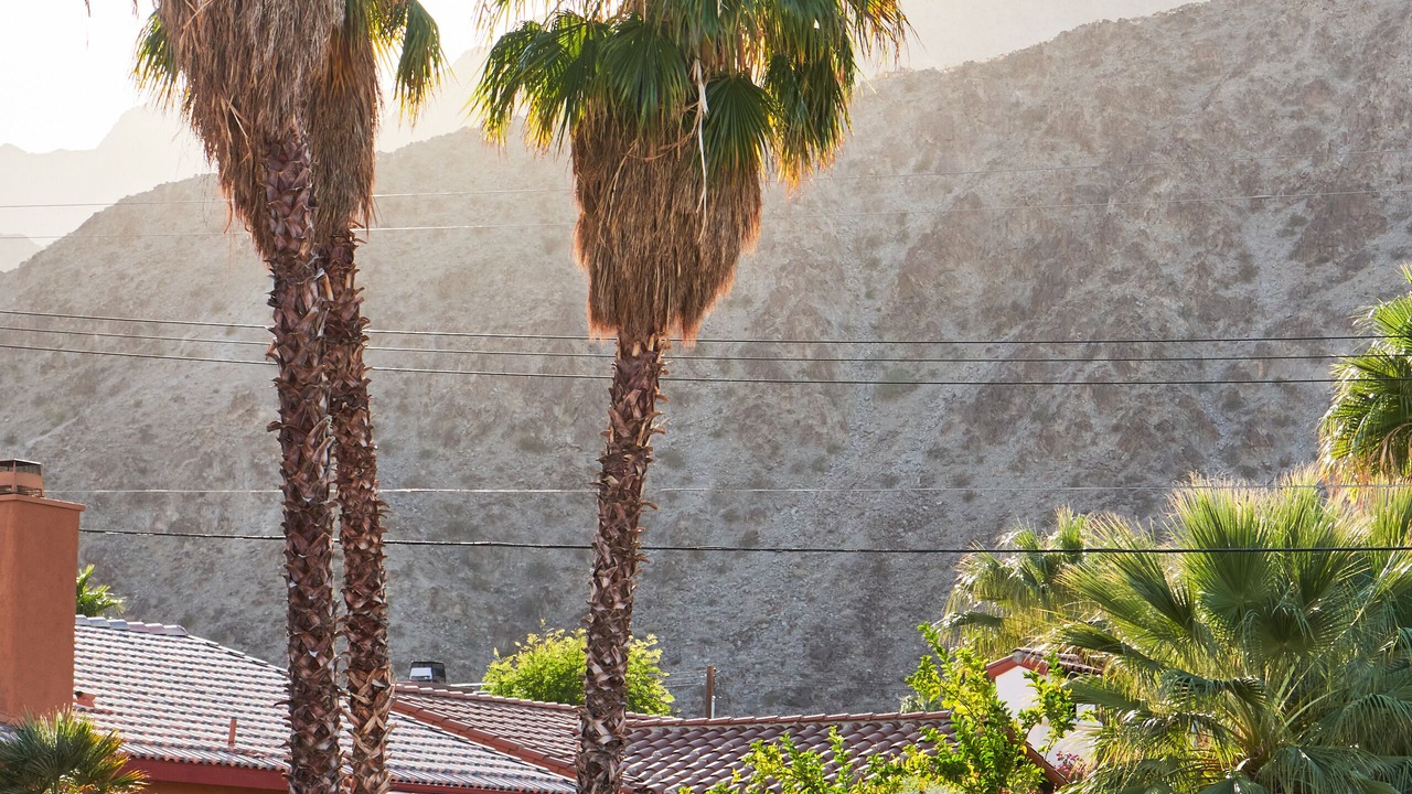 Photo of Outdoor in La Quinta Cove