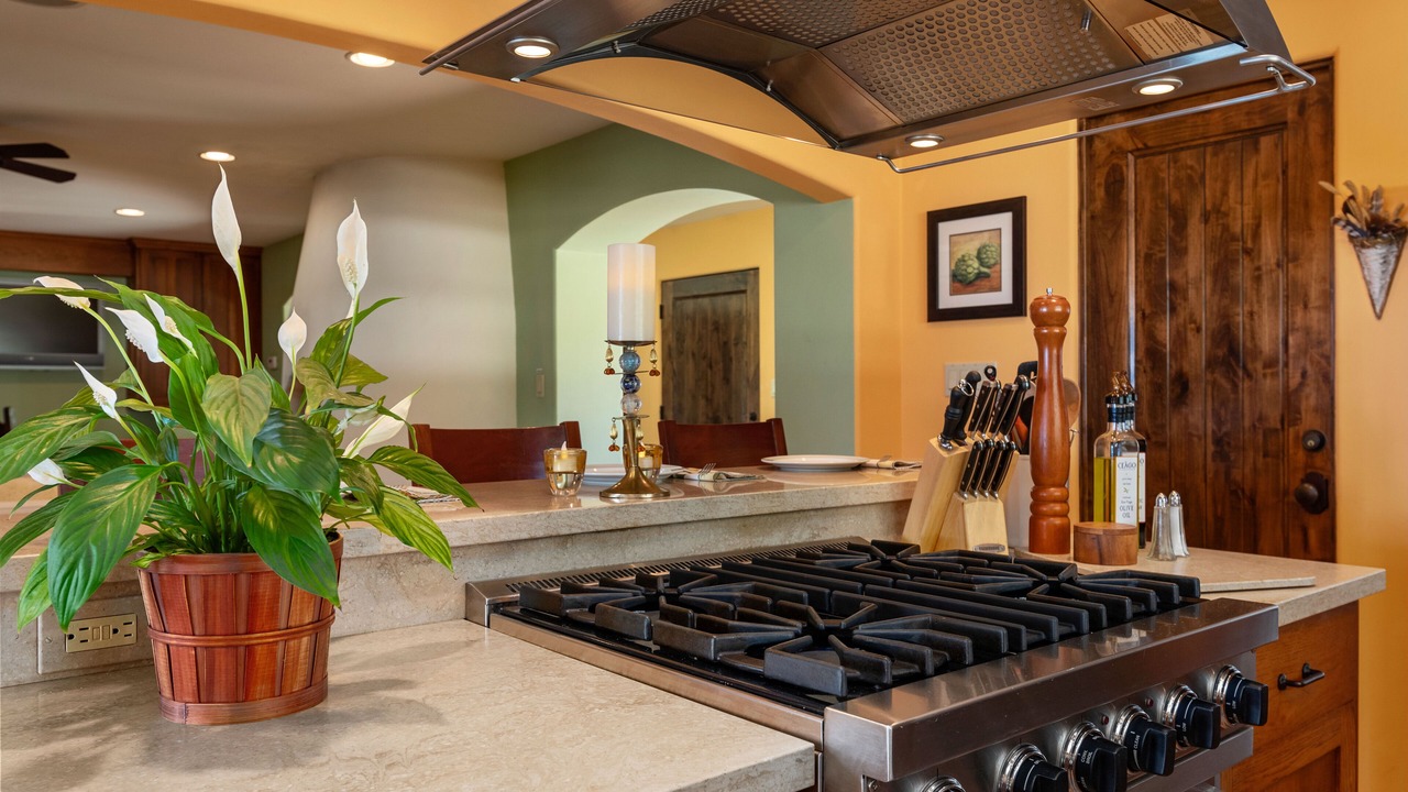 Photo of Kitchen in Nice