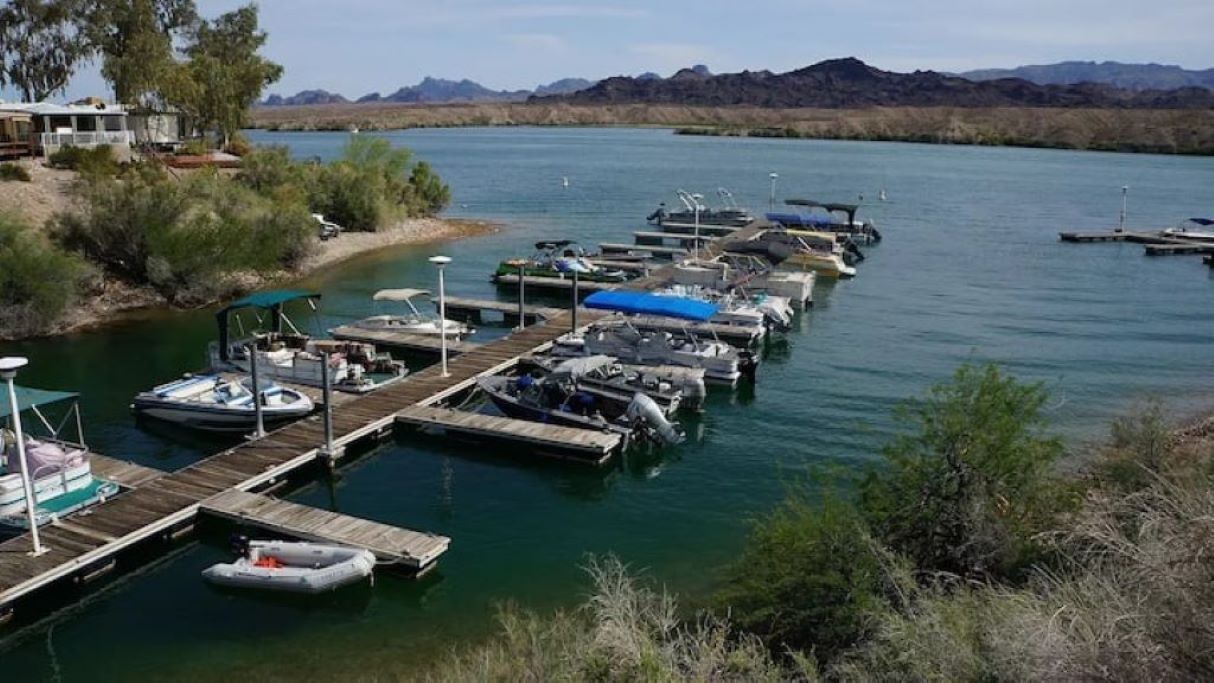 Photo of Others in Lake Havasu City
