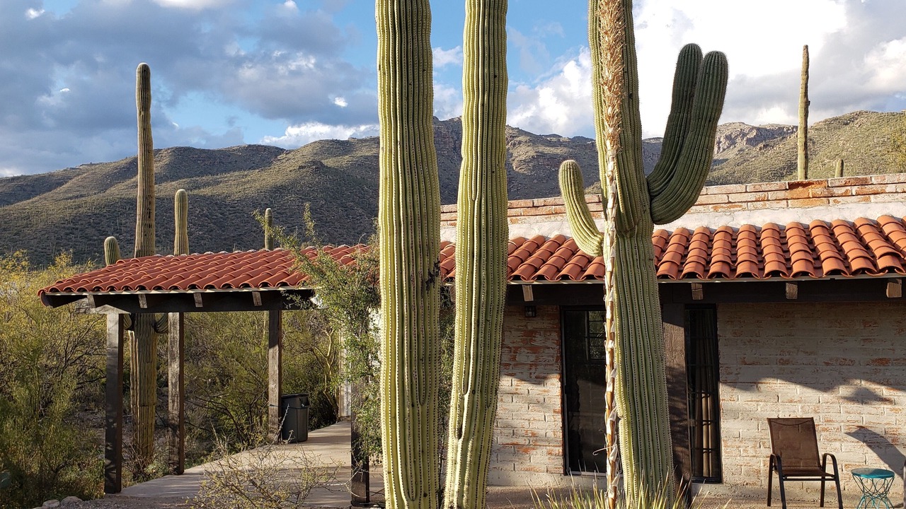 Photo of Outdoor in The Elin Ranch