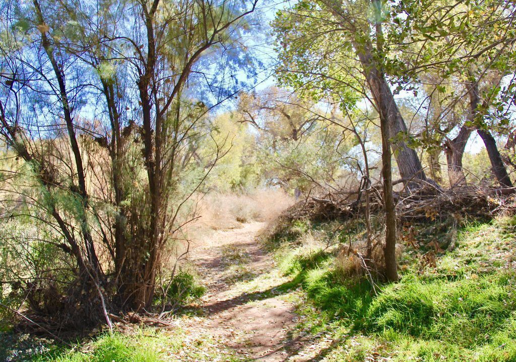 Photo of Outdoor in Camp Verde