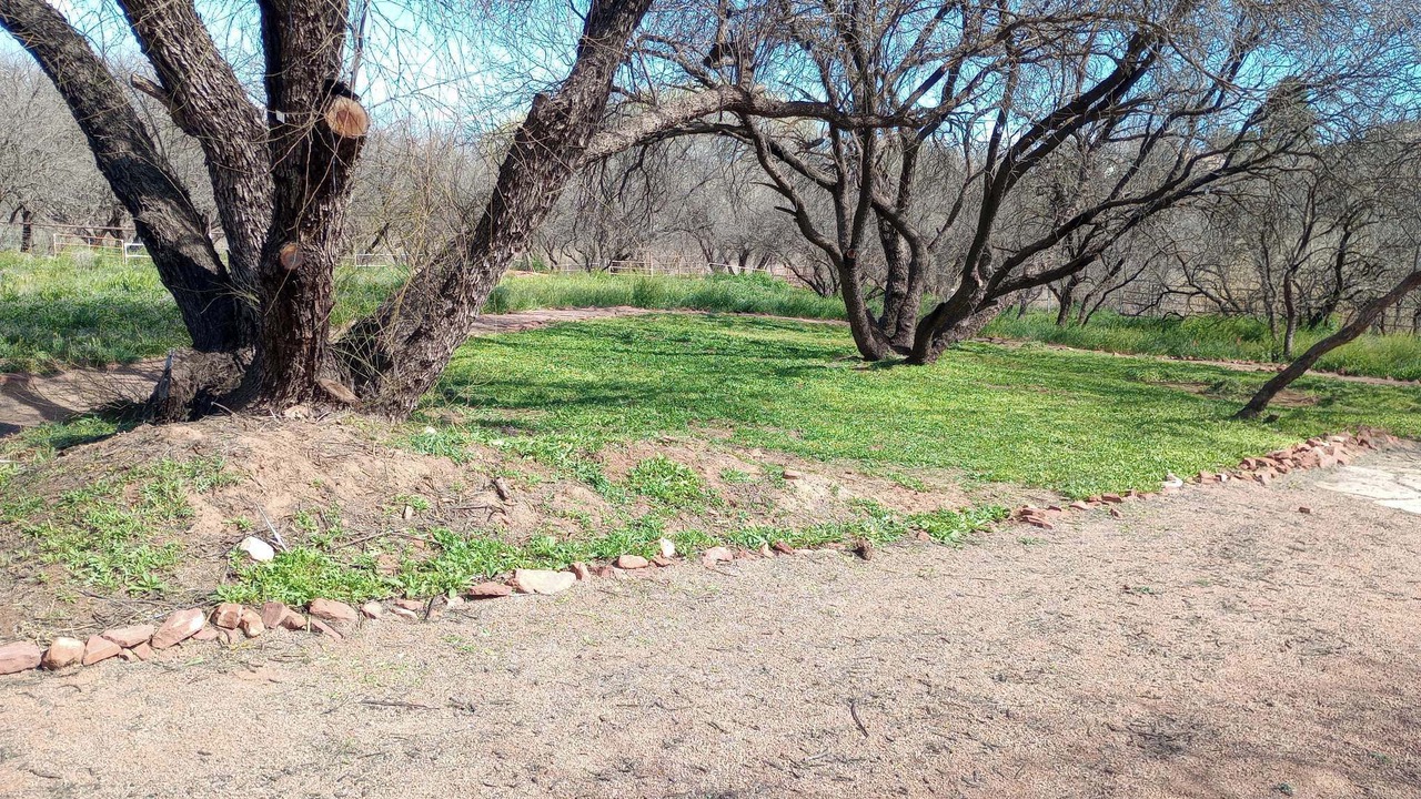 Photo of Others in Cottonwood