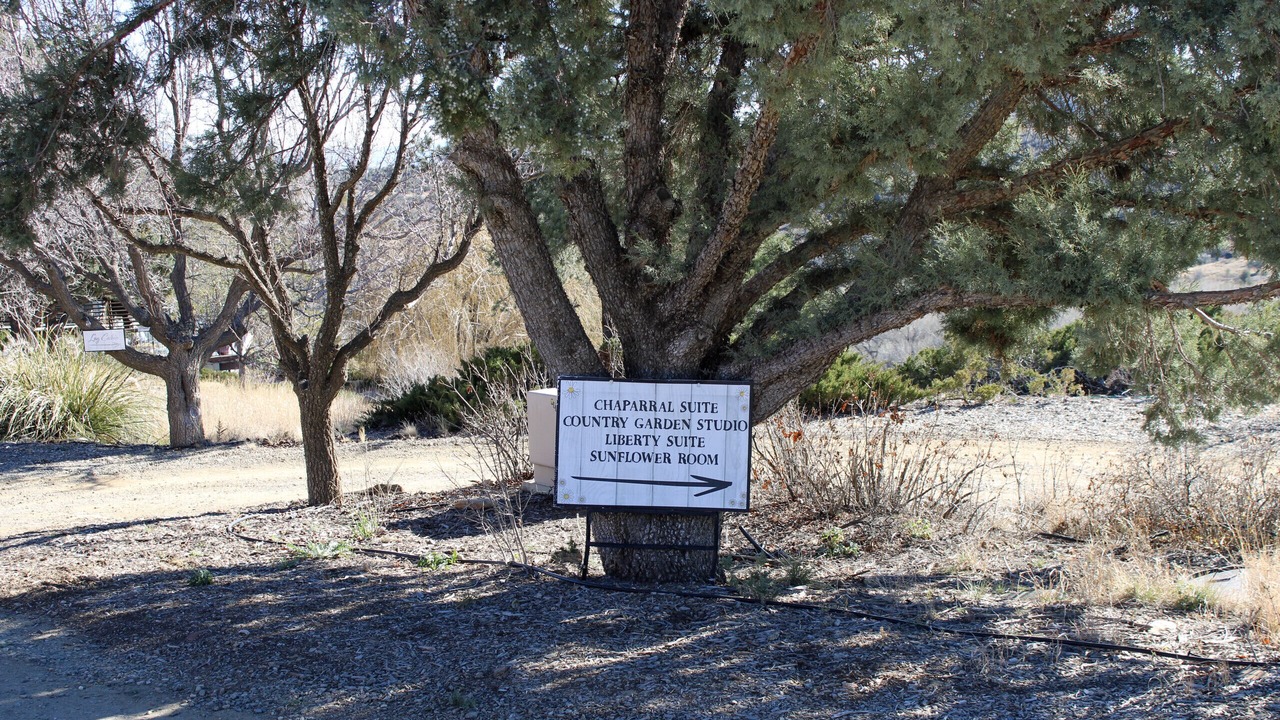 Photo of Outdoor in Prescott
